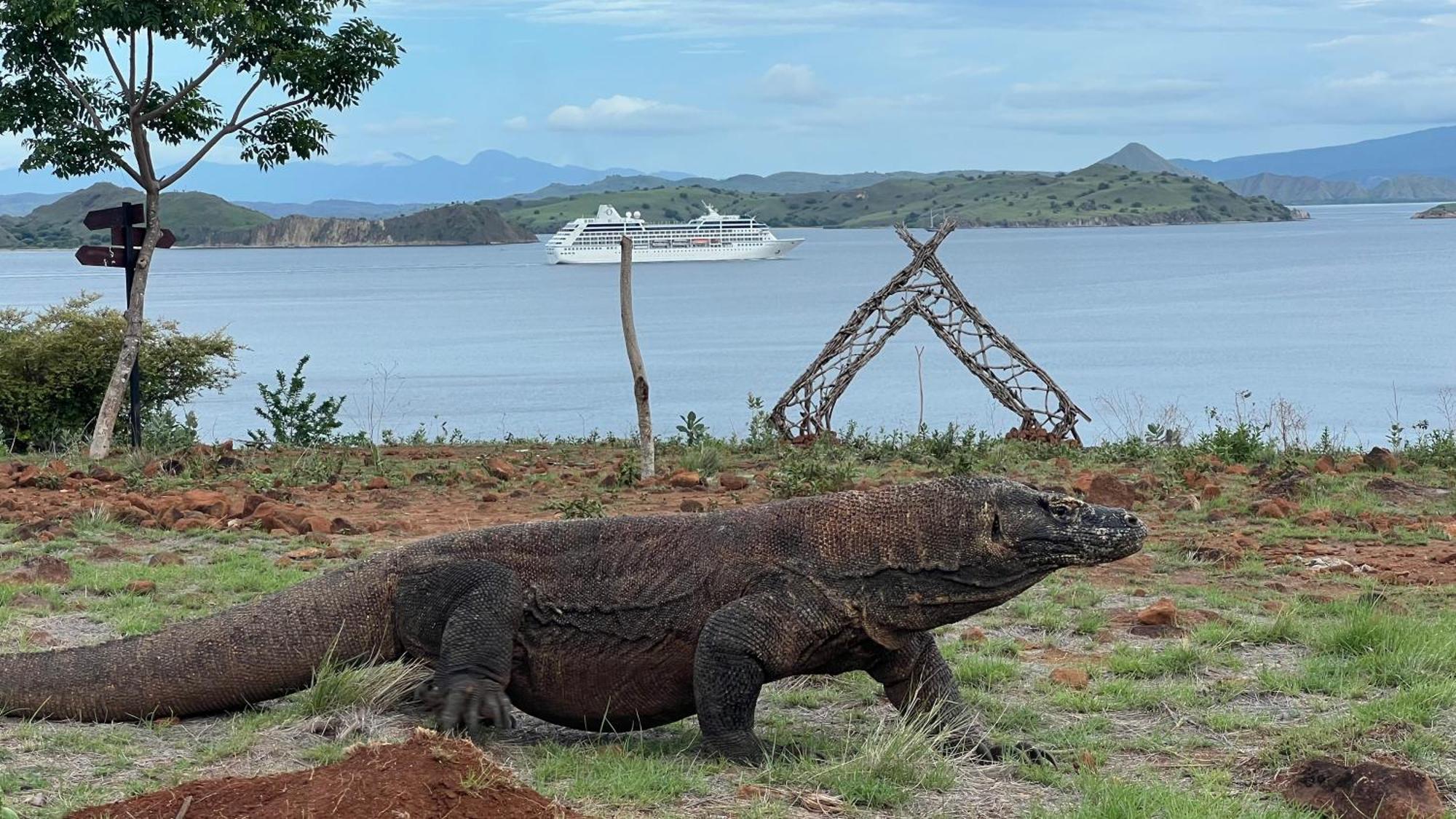 Jhuna Komodo Homestay Ngoại thất bức ảnh